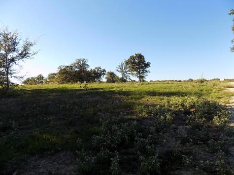Lot 14 Anglers Point Drive Emory TX 75440