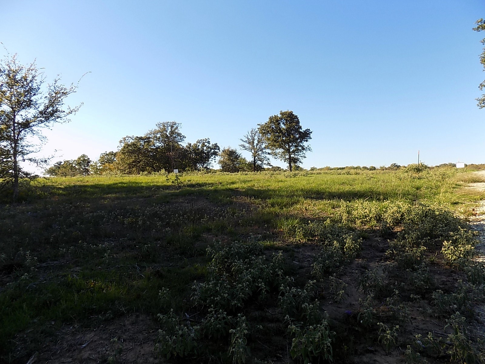 Lot 14 Anglers Point Drive Emory TX 75440