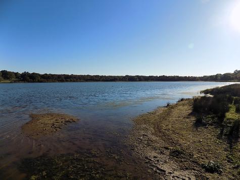 Lot 14 Anglers Point Drive Emory TX 75440