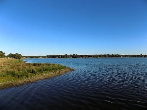 Lot 14 Anglers Point Drive Emory TX 75440