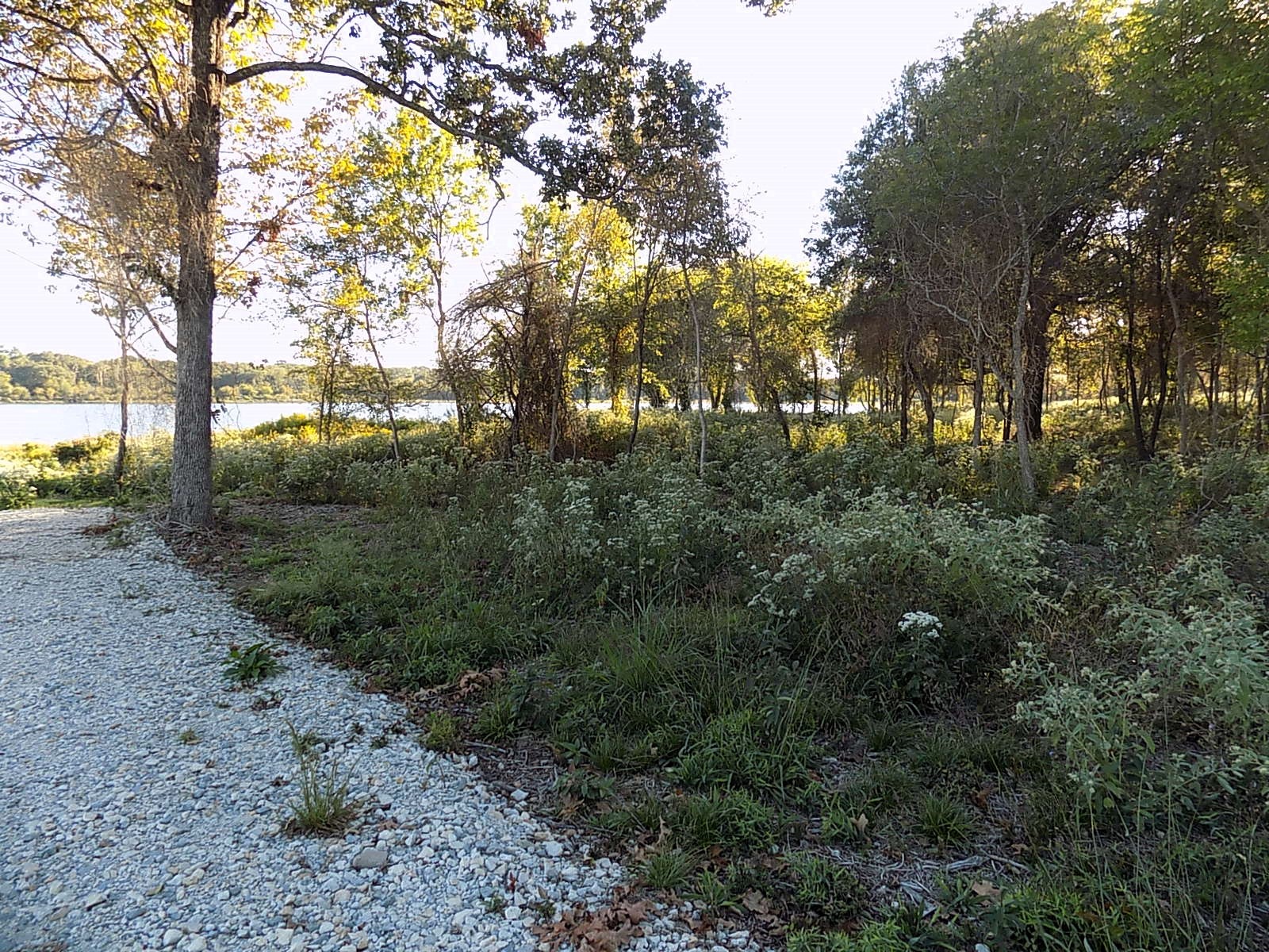 Lot 14 Anglers Point Drive Emory TX 75440