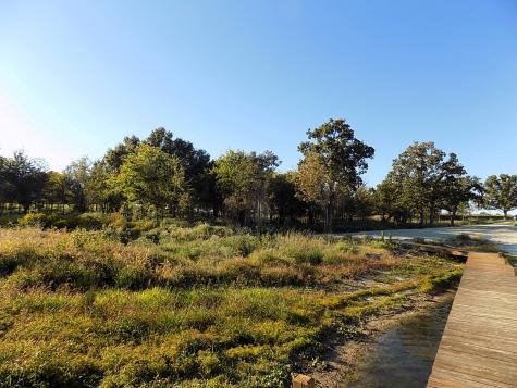 Lot 14 Anglers Point Drive Emory TX 75440