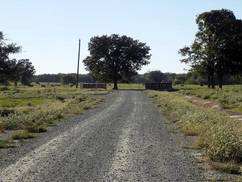 Lot 14 Anglers Point Drive Emory TX 75440