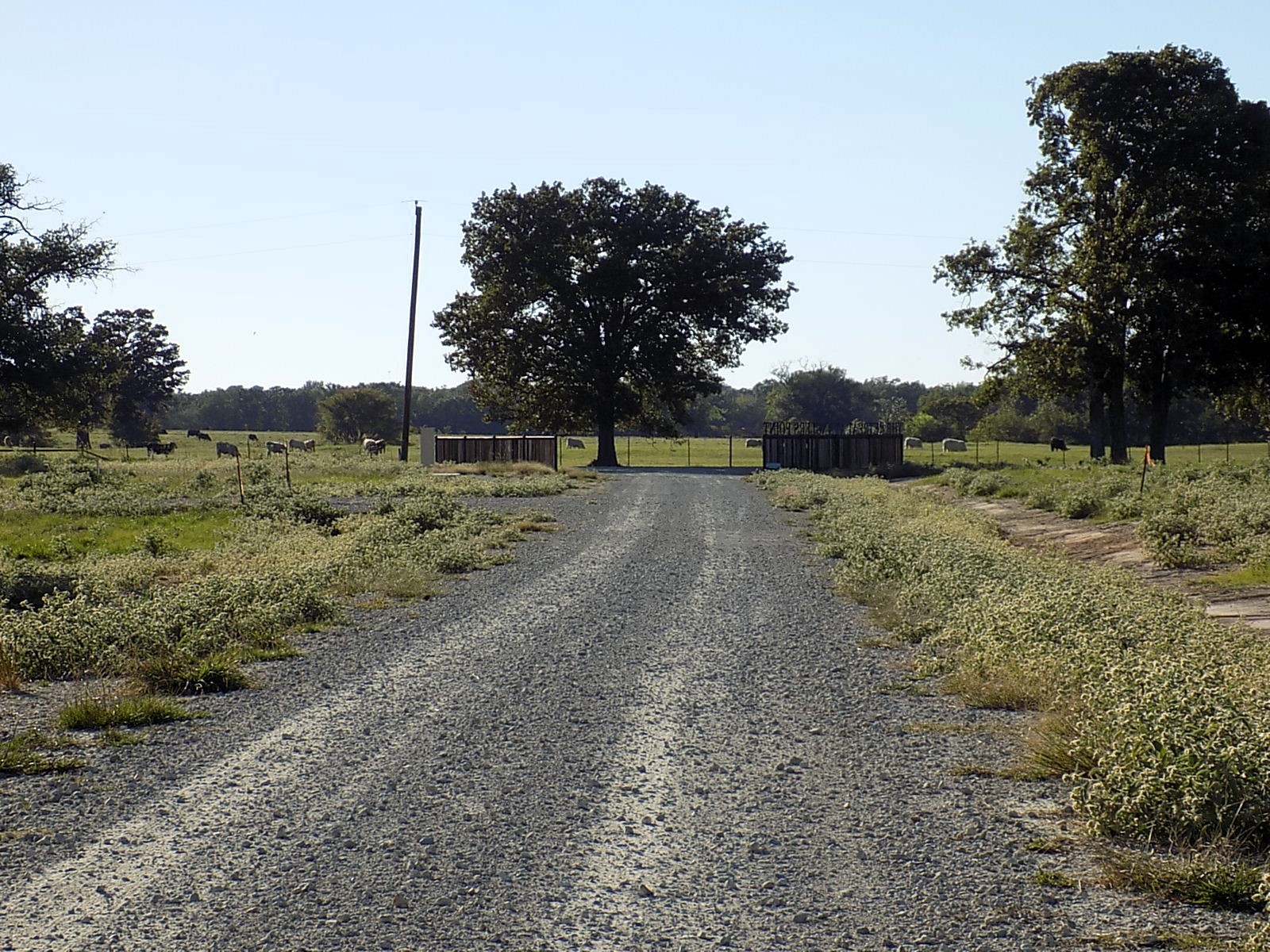 Lot 14 Anglers Point Drive Emory TX 75440