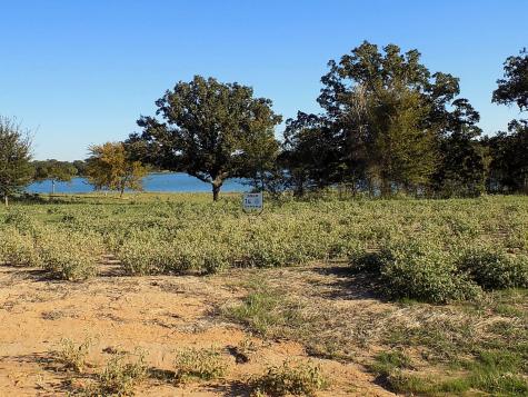 Lot 14 Anglers Point Drive Emory TX 75440