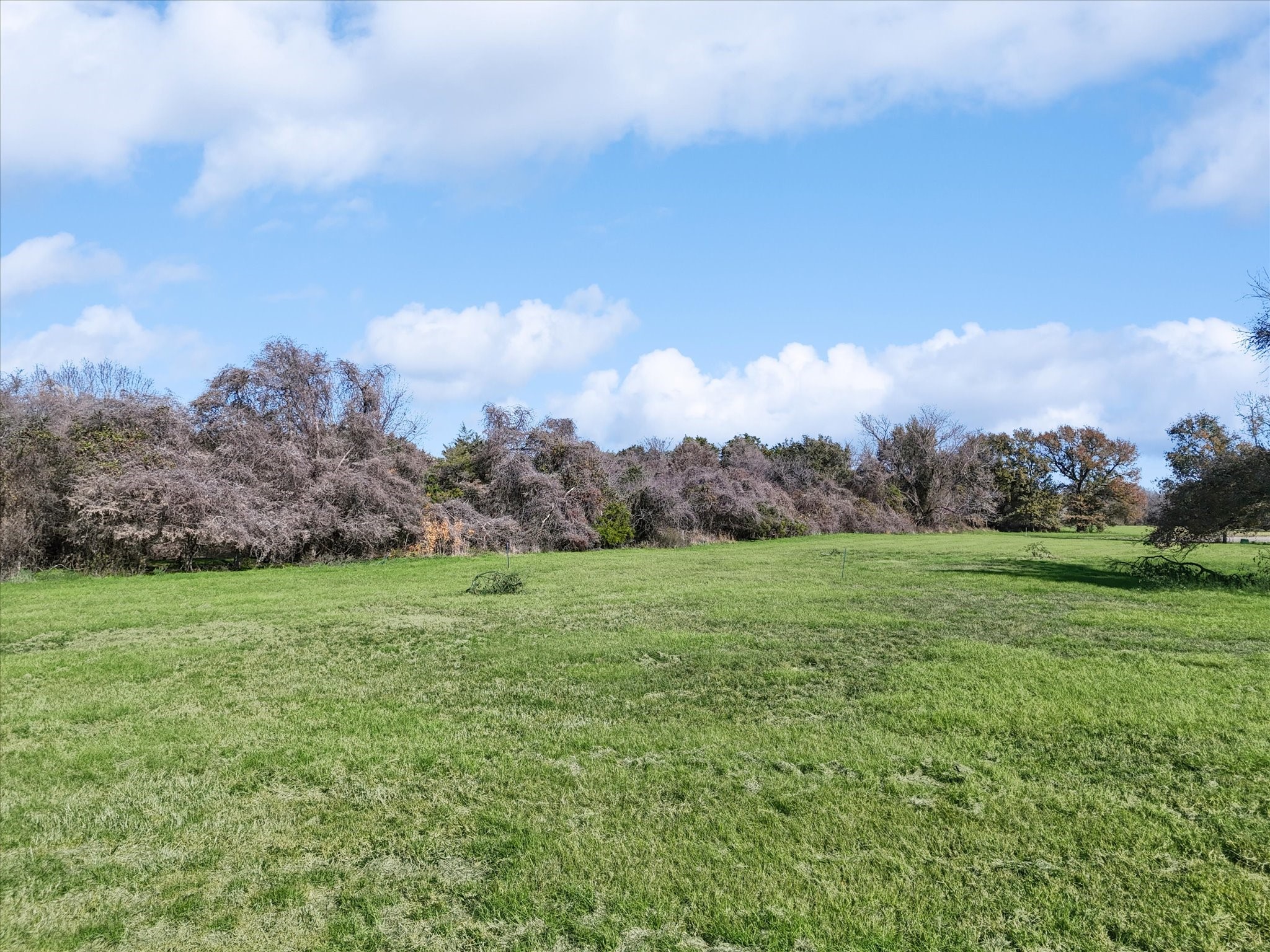 Lot 25 Triangle Shores Corsicana TX 75109