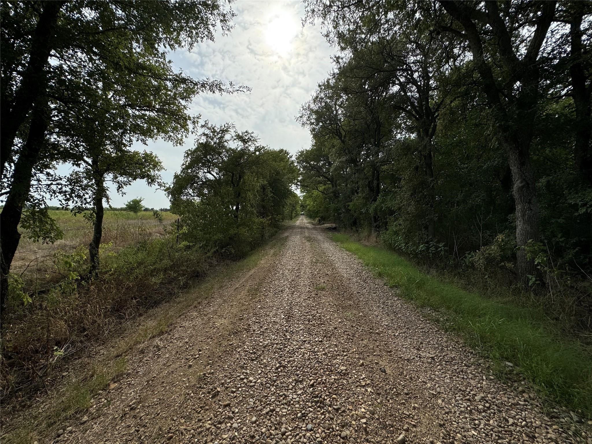 435 County Road 3520 Honey Grove TX 75446