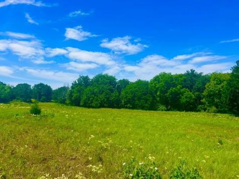 Lot 100 Arlow Road Poolville TX 76487