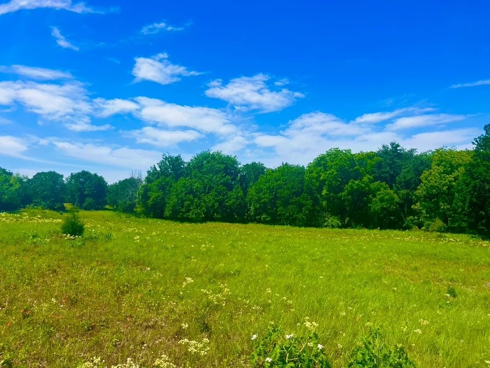 Lot 100 Arlow Road Poolville TX 76487
