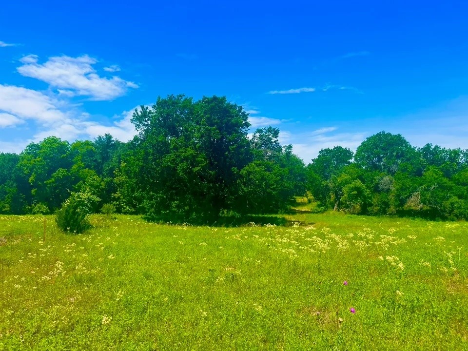 Lot 100 Arlow Road Poolville TX 76487