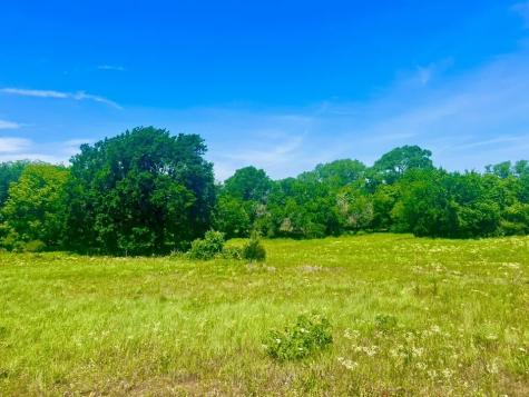 Lot 100 Arlow Road Poolville TX 76487