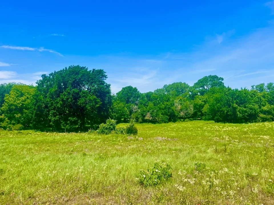 Lot 100 Arlow Road Poolville TX 76487