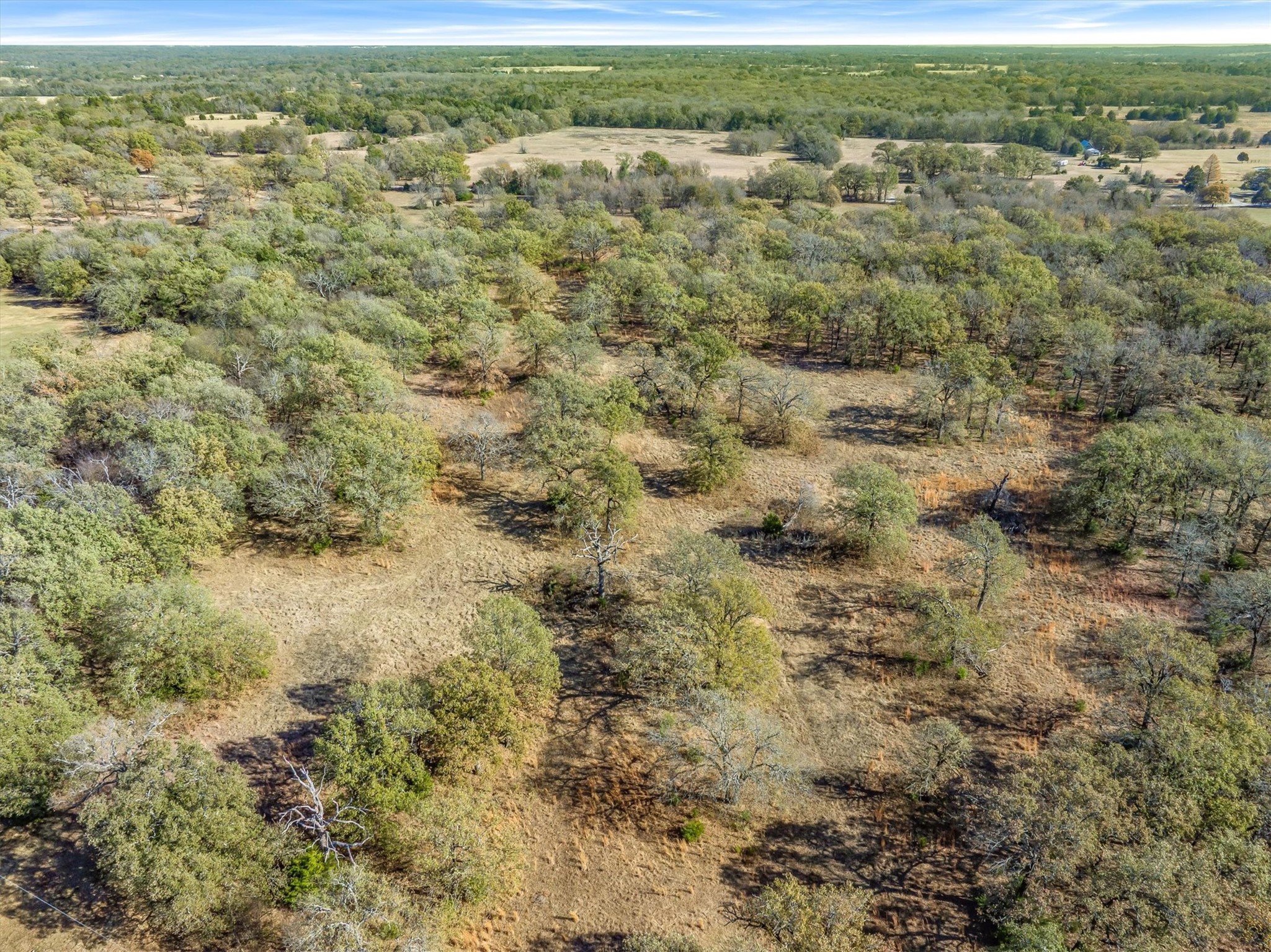 66.00 (+/-) Acres Vz County Road 2145 Canton TX 75103