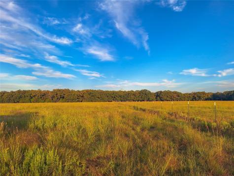Tbd County Road 2147 Kemp TX 75143