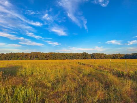 Tbd County Road 2147 Kemp TX 75143