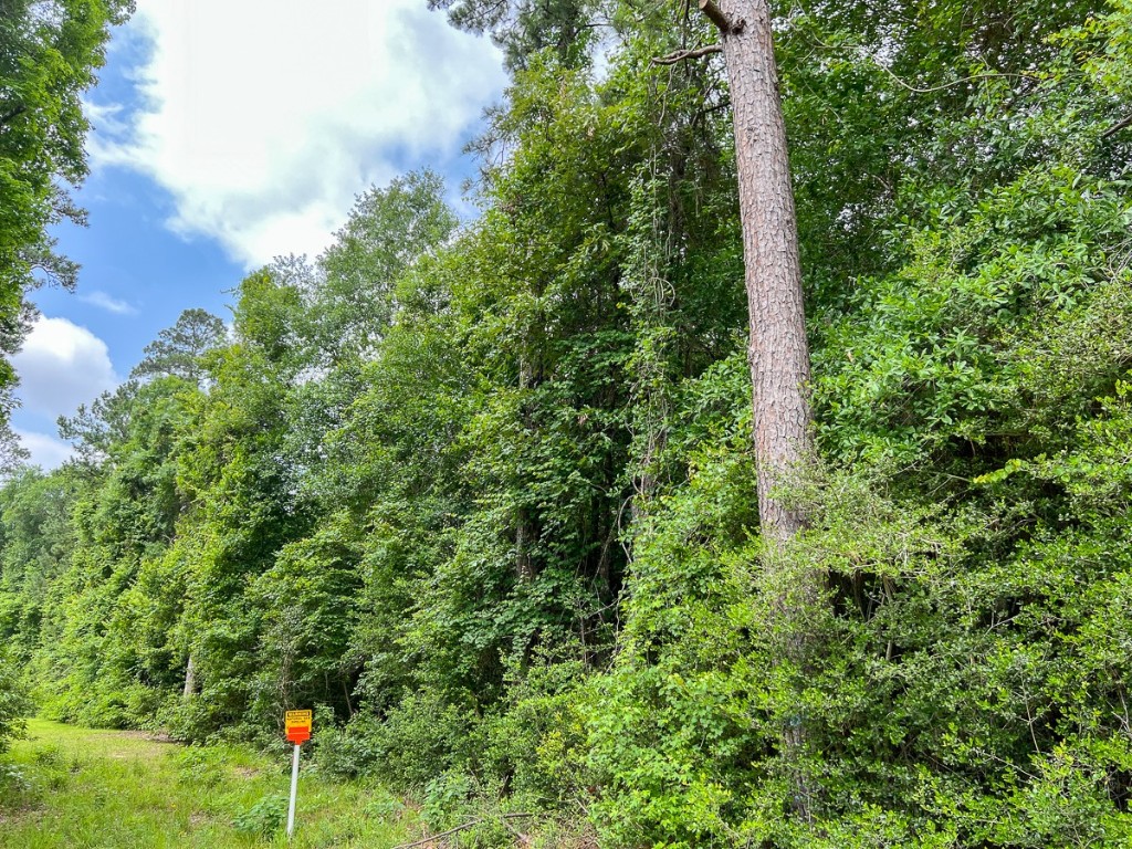 0000 Fm 2937/old Arco Road Silsbee TX 77656