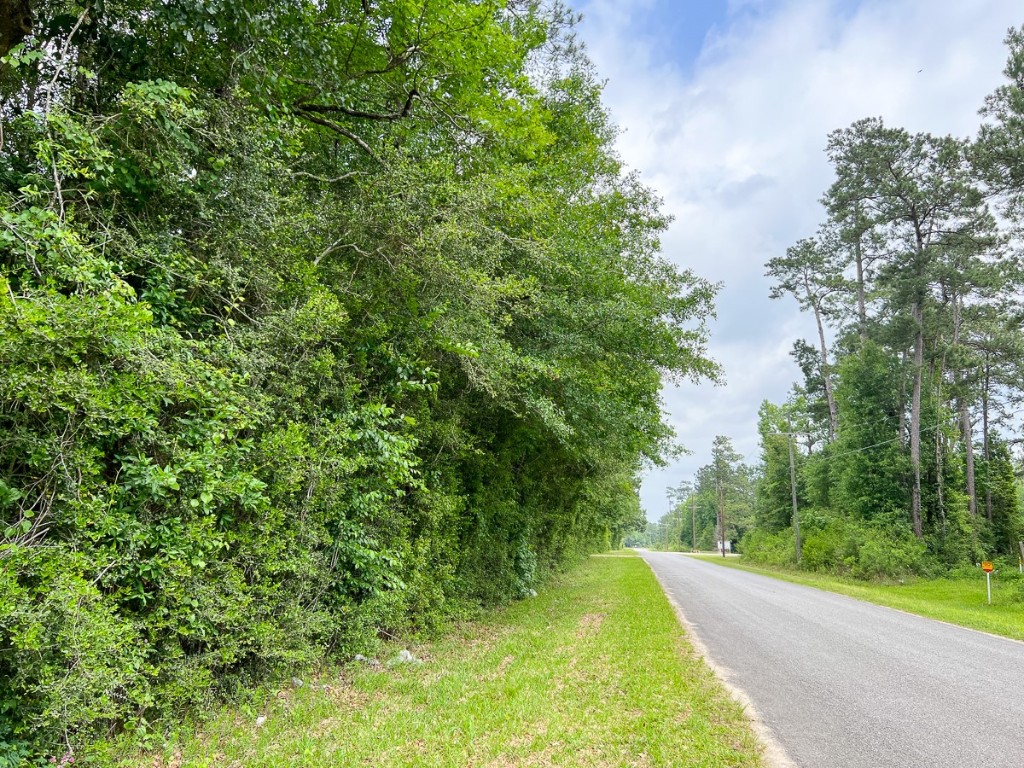 0000 Fm 2937/old Arco Road Silsbee TX 77656