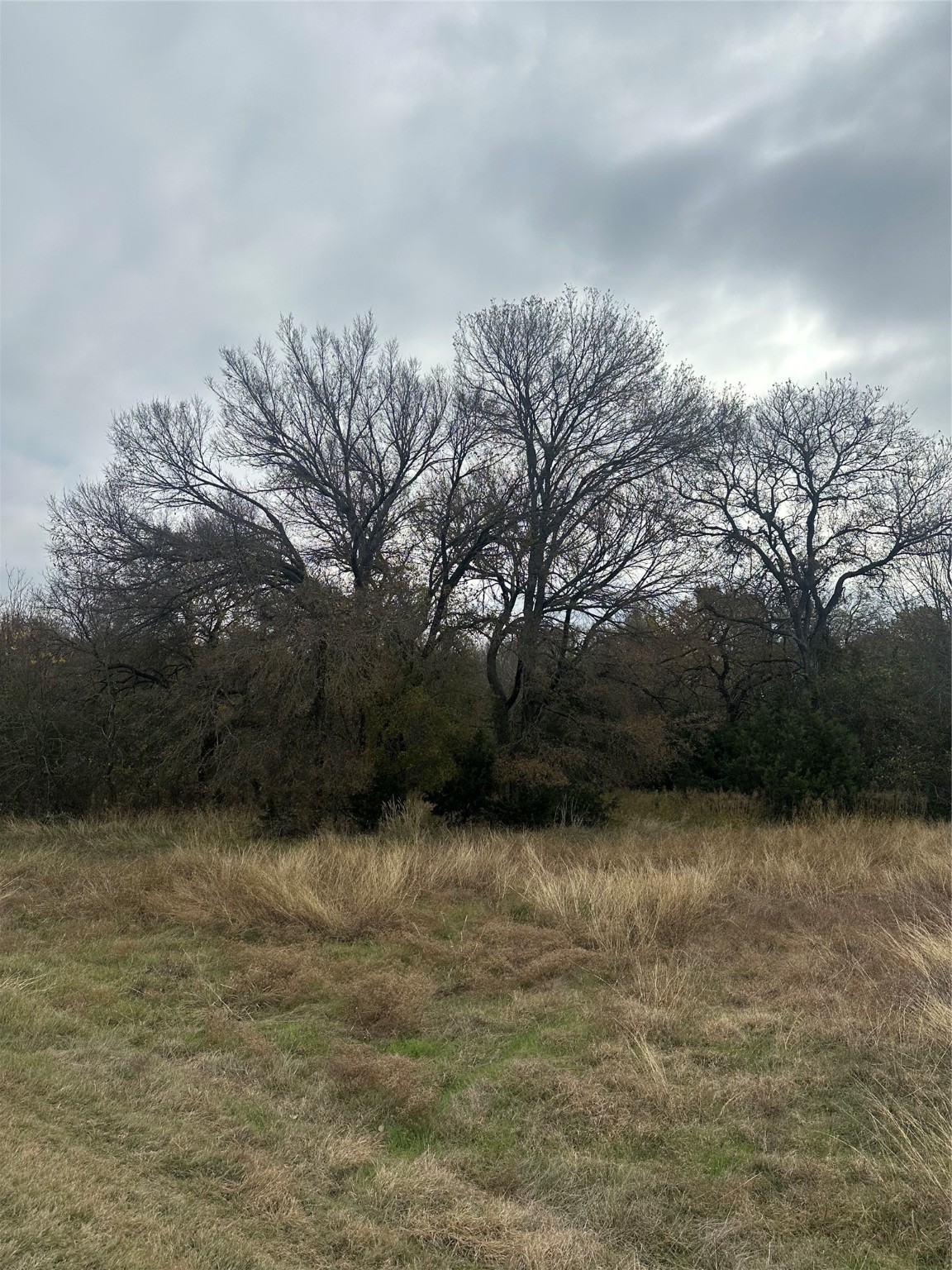 44080 Mountain Sage Drive Whitney TX 76692