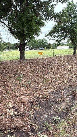 TBD County Road 3737 Bridgeport TX 76426