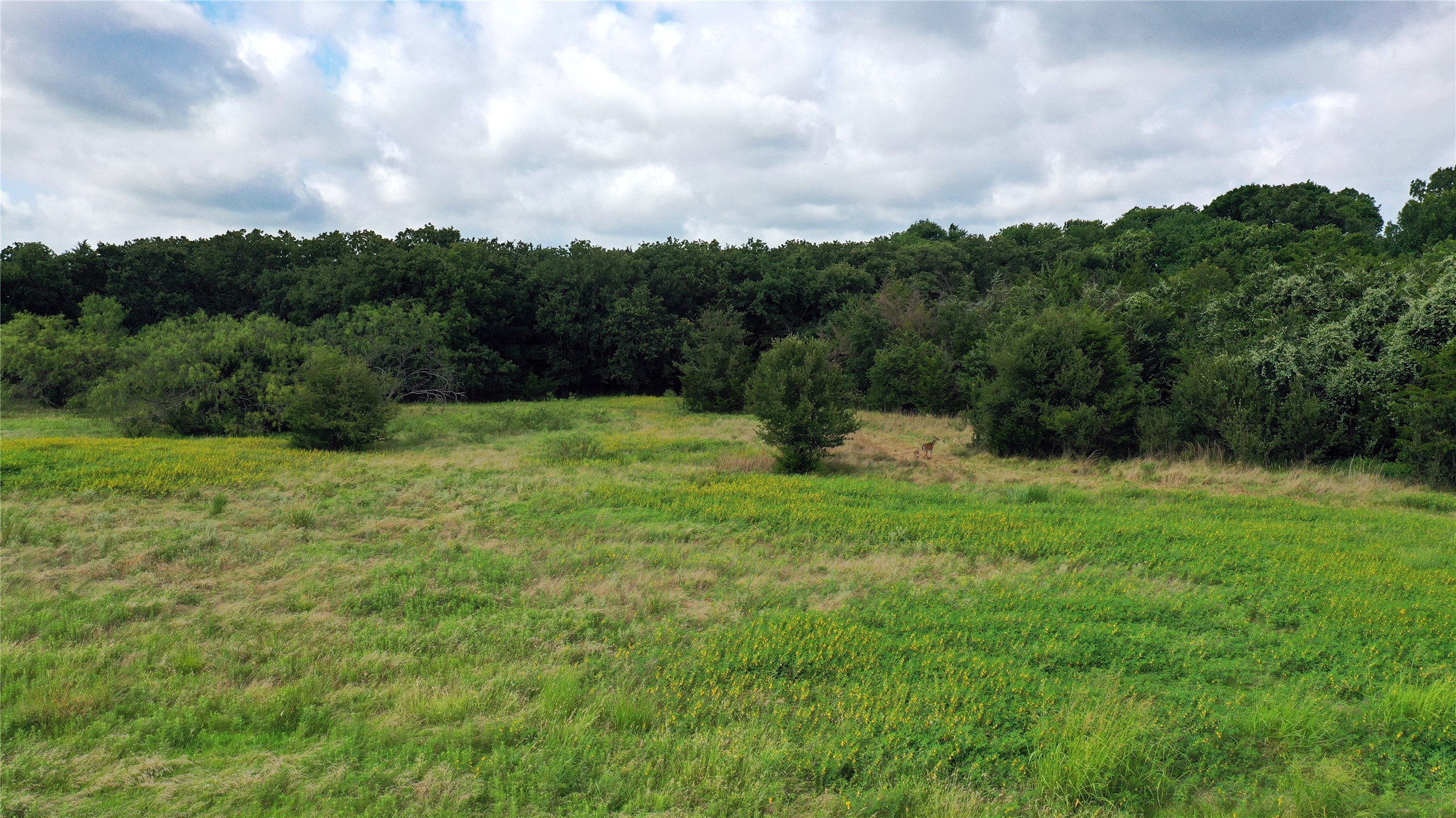 1563 Fm 667 Dawson TX 76679