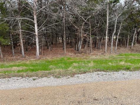 Lot 19 Cedar Springs Drive Decatur TX 76234