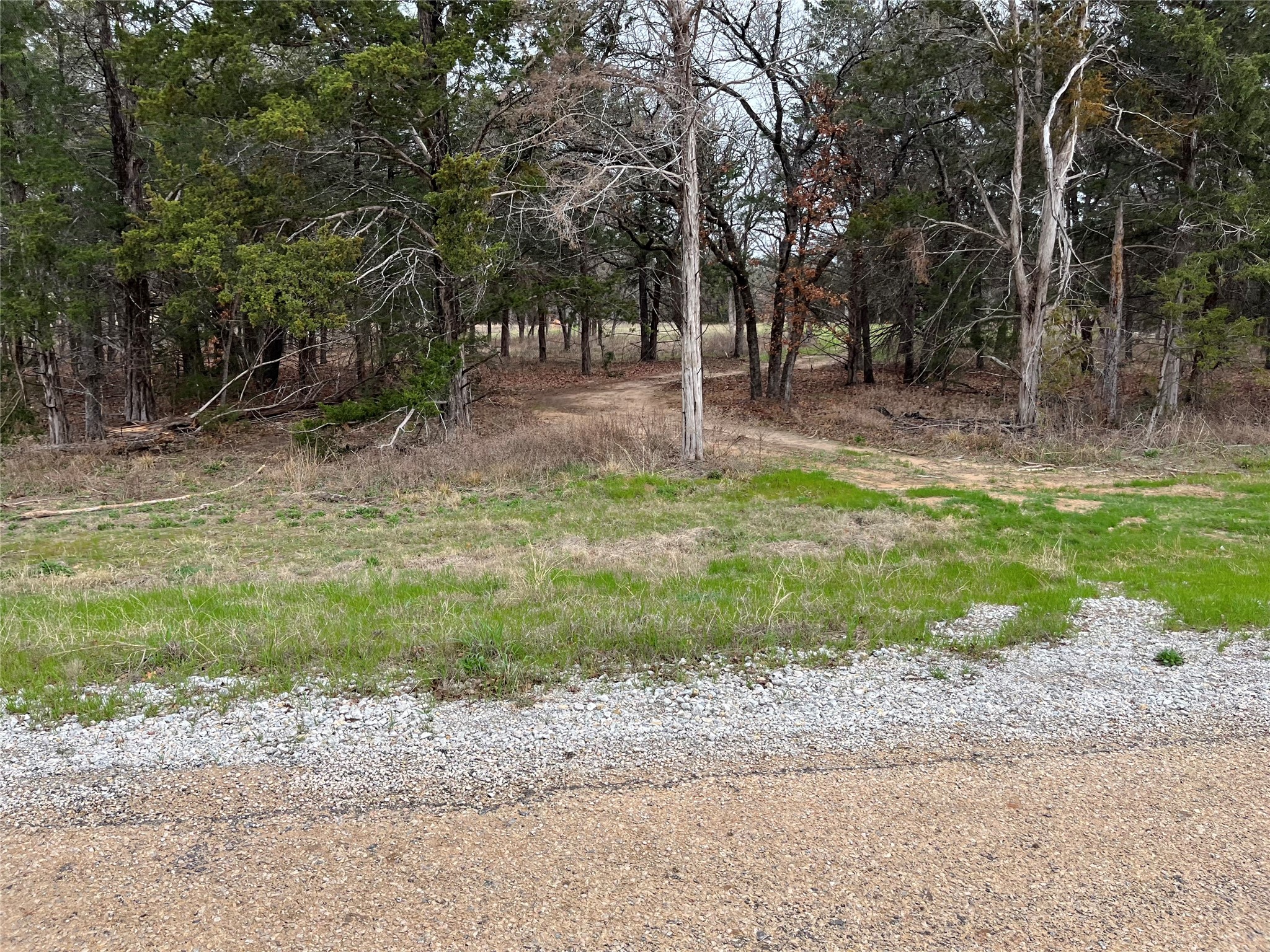 Lot 19 Cedar Springs Drive Decatur TX 76234