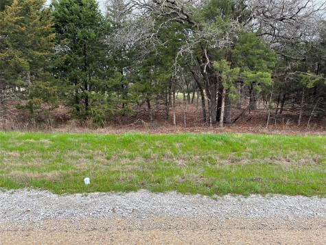 Lot 19 Cedar Springs Drive Decatur TX 76234
