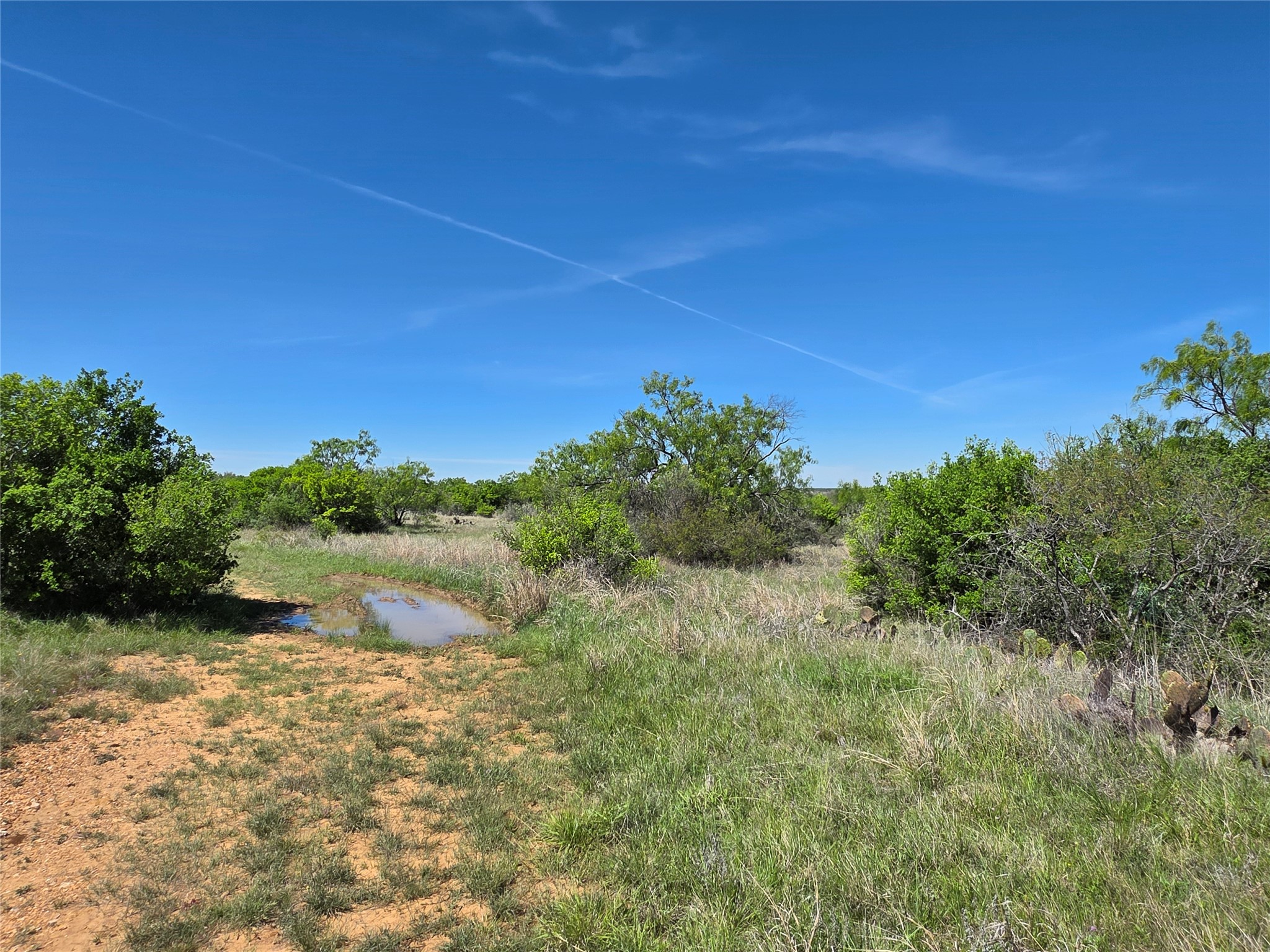 10315 Fm 45 Richland Springs TX 76872