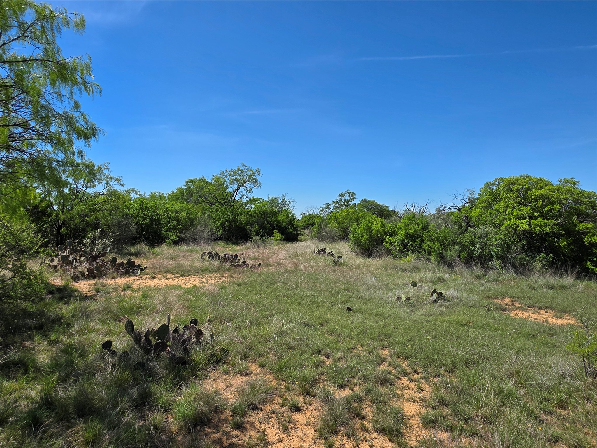 10315 Fm 45 Richland Springs TX 76872