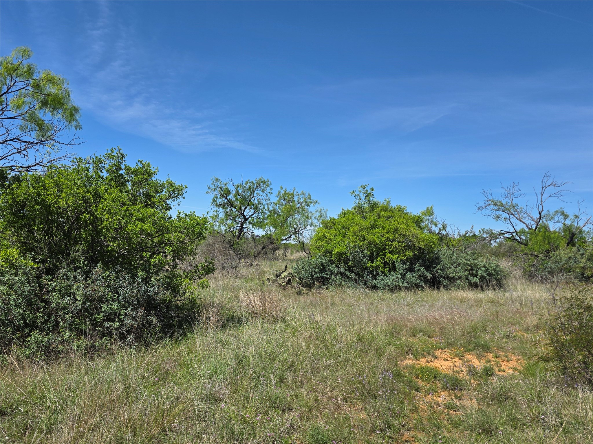 10315 Fm 45 Richland Springs TX 76872