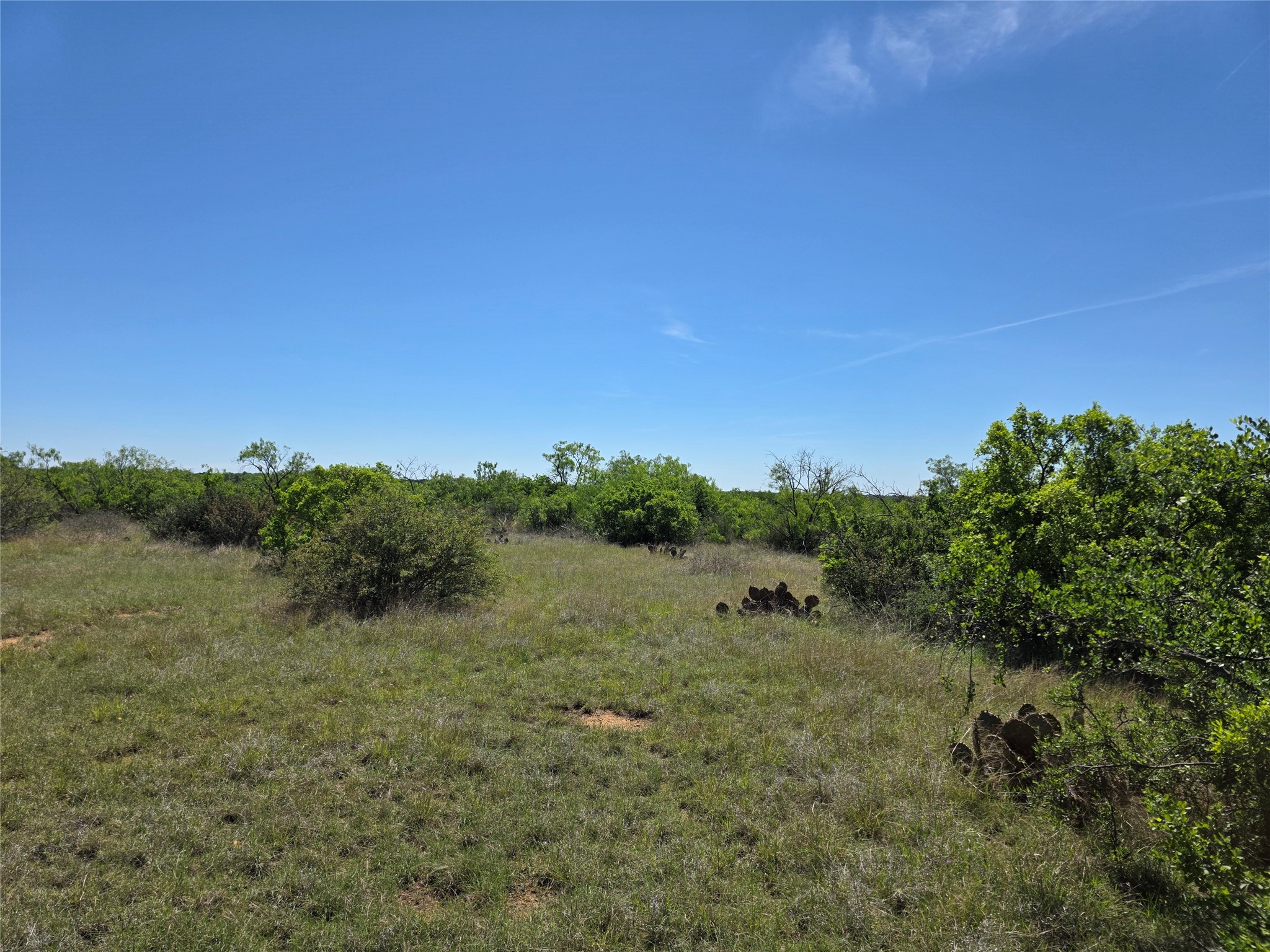 10315 Fm 45 Richland Springs TX 76872