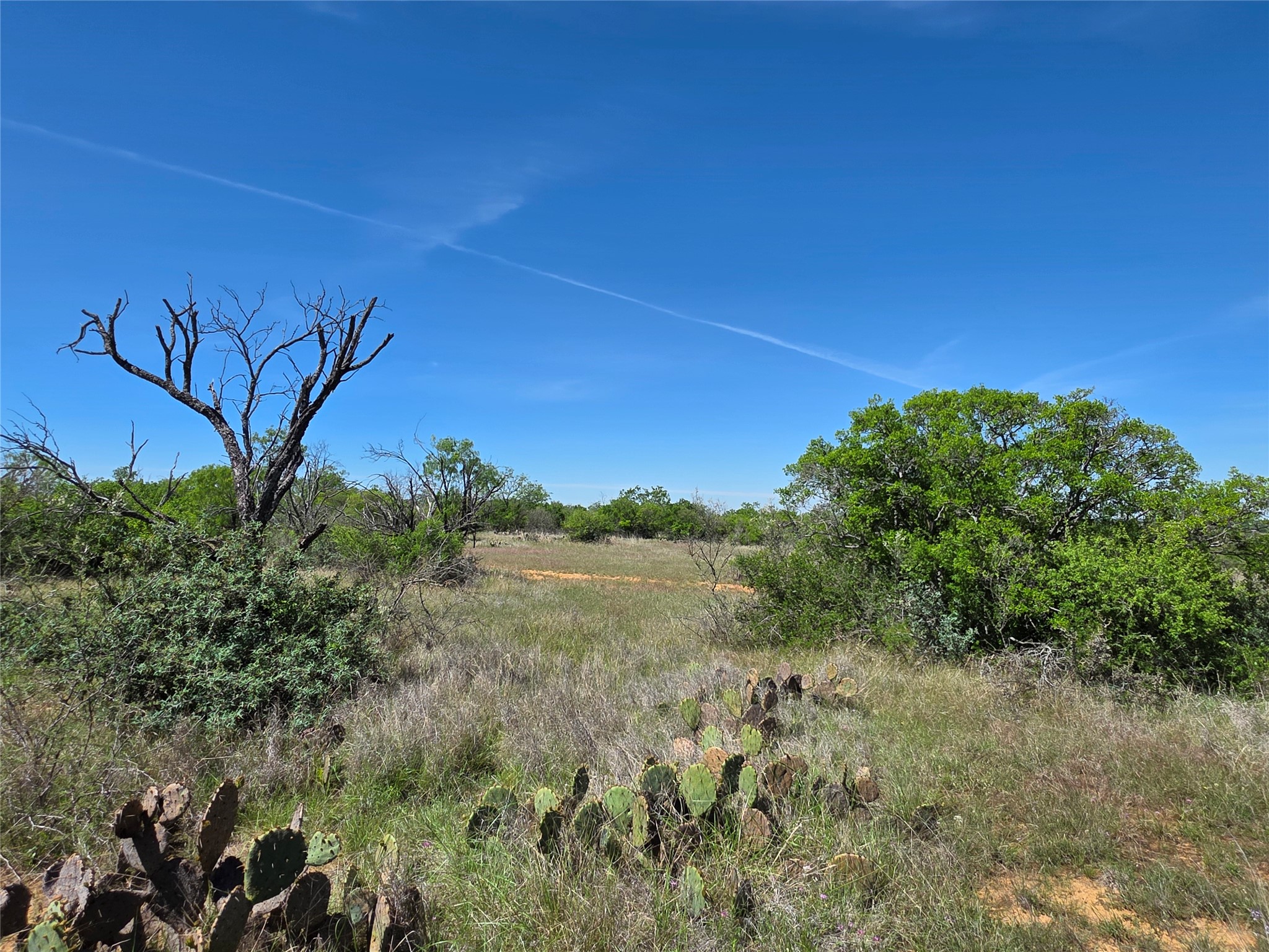 10315 Fm 45 Richland Springs TX 76872