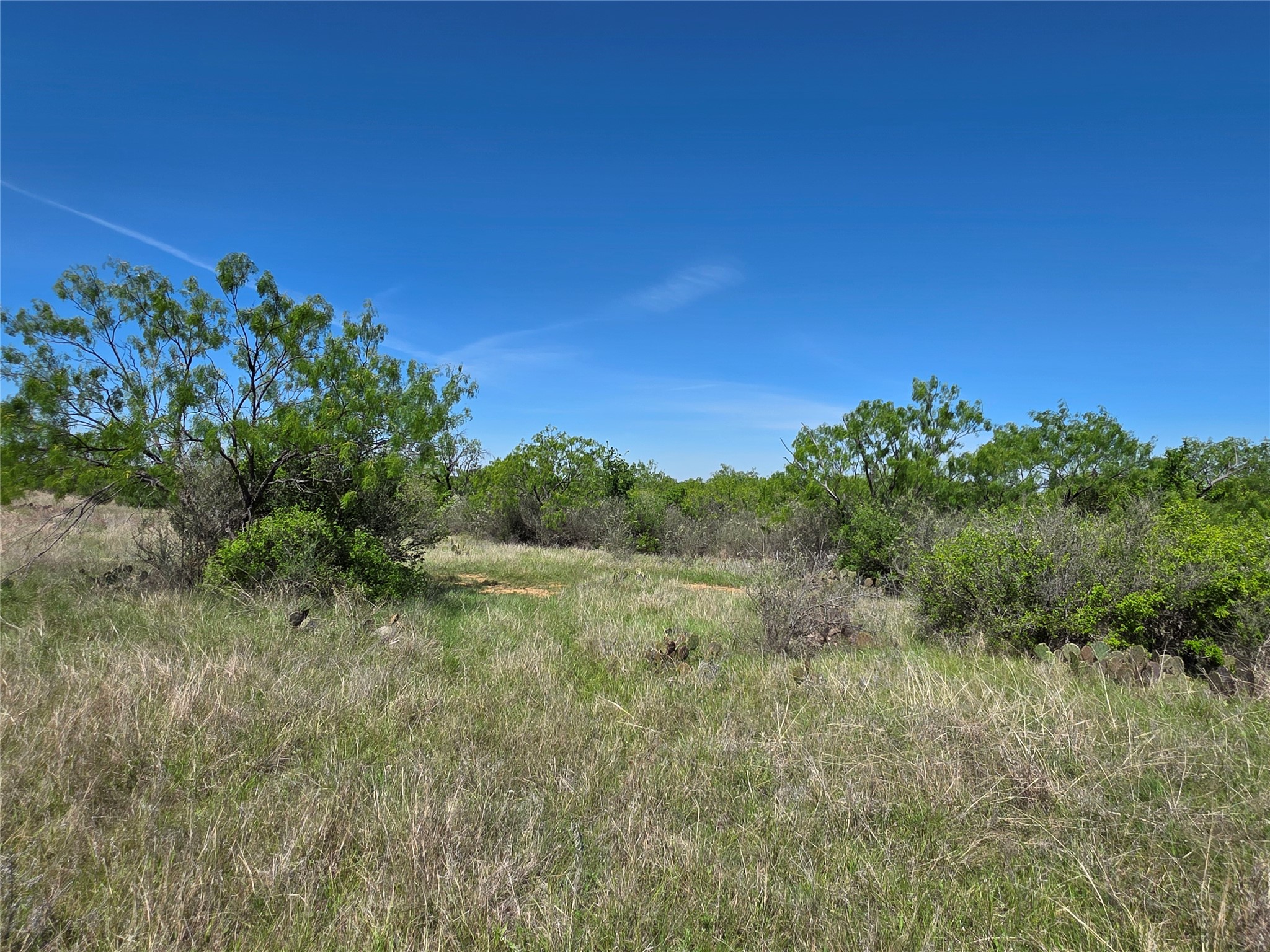 10315 Fm 45 Richland Springs TX 76872