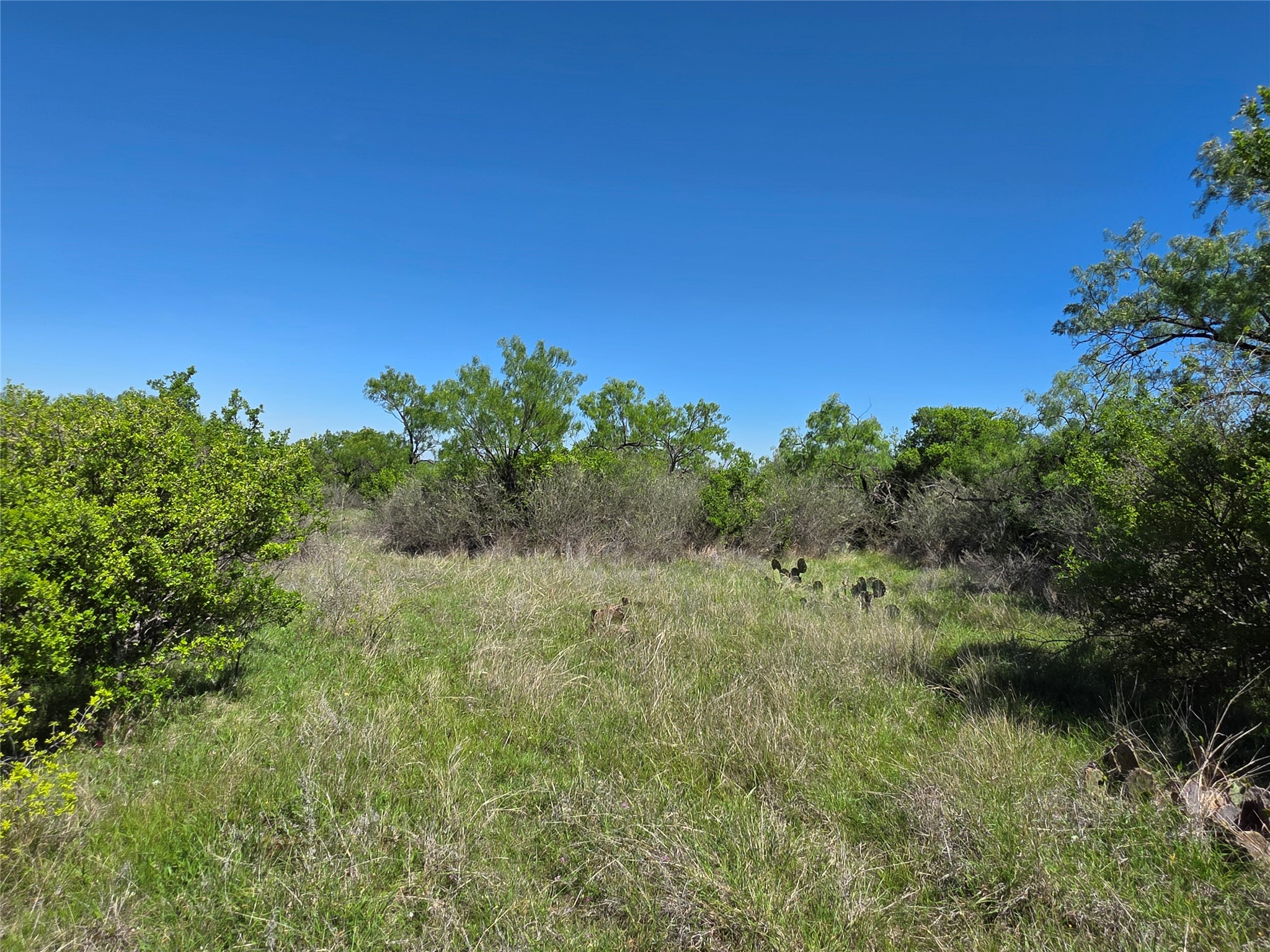 10315 Fm 45 Richland Springs TX 76872
