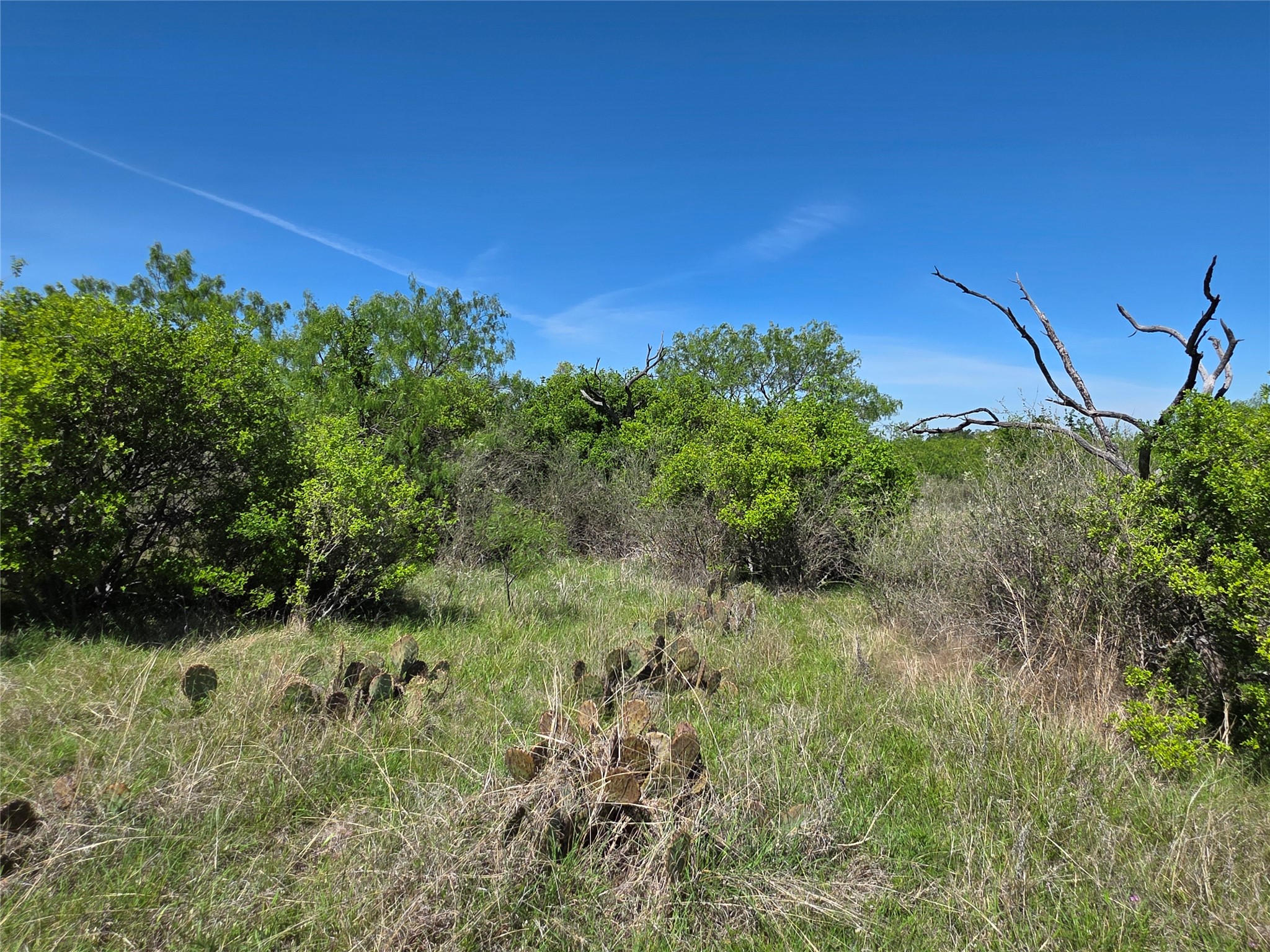 10315 Fm 45 Richland Springs TX 76872
