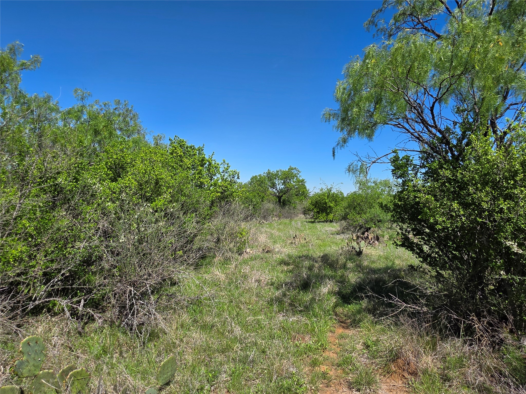 10315 Fm 45 Richland Springs TX 76872