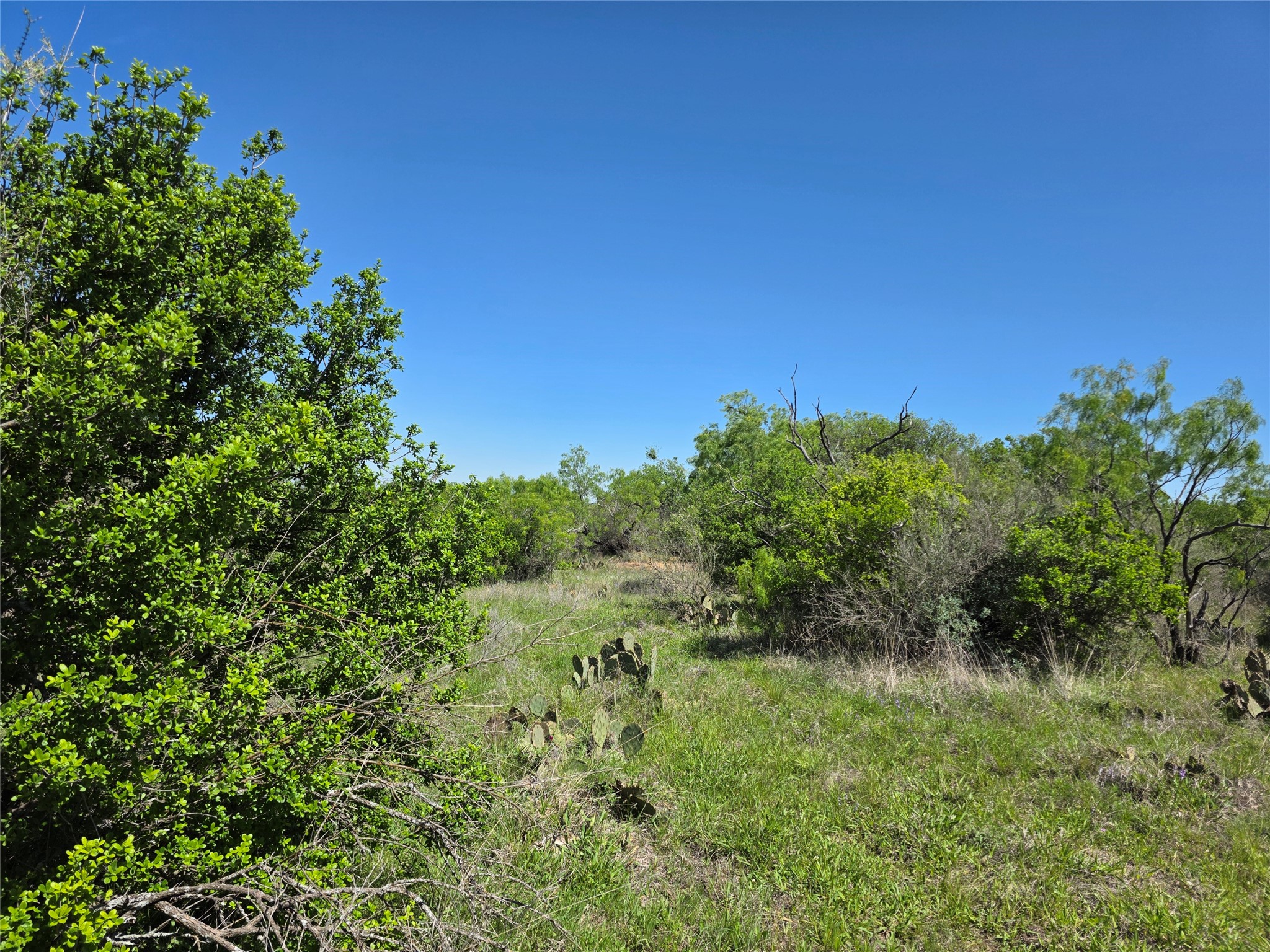 10315 Fm 45 Richland Springs TX 76872