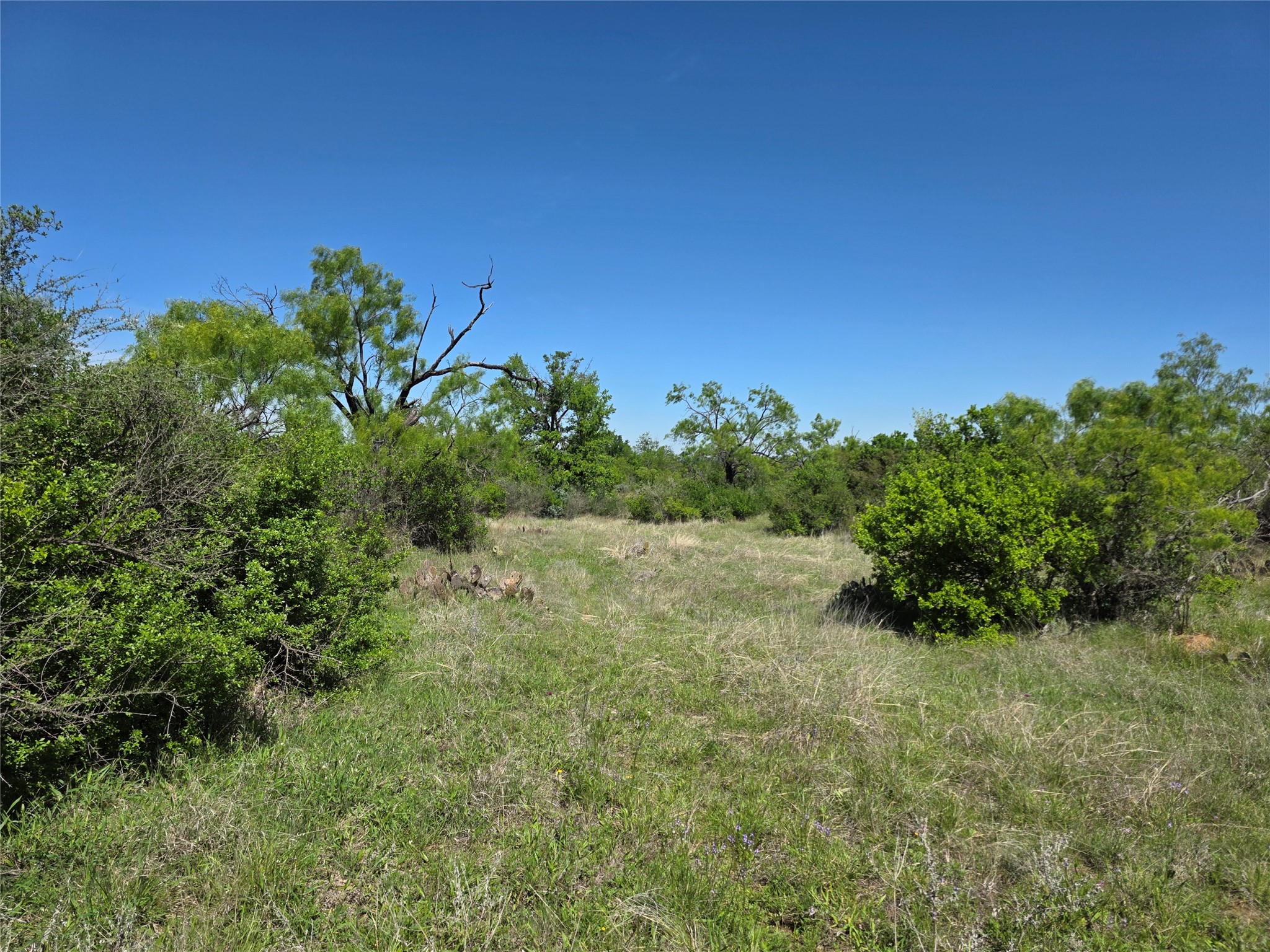 10315 Fm 45 Richland Springs TX 76872