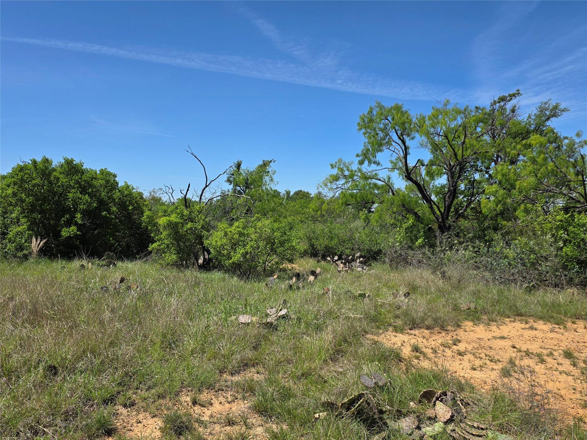 10315 Fm 45 Richland Springs TX 76872