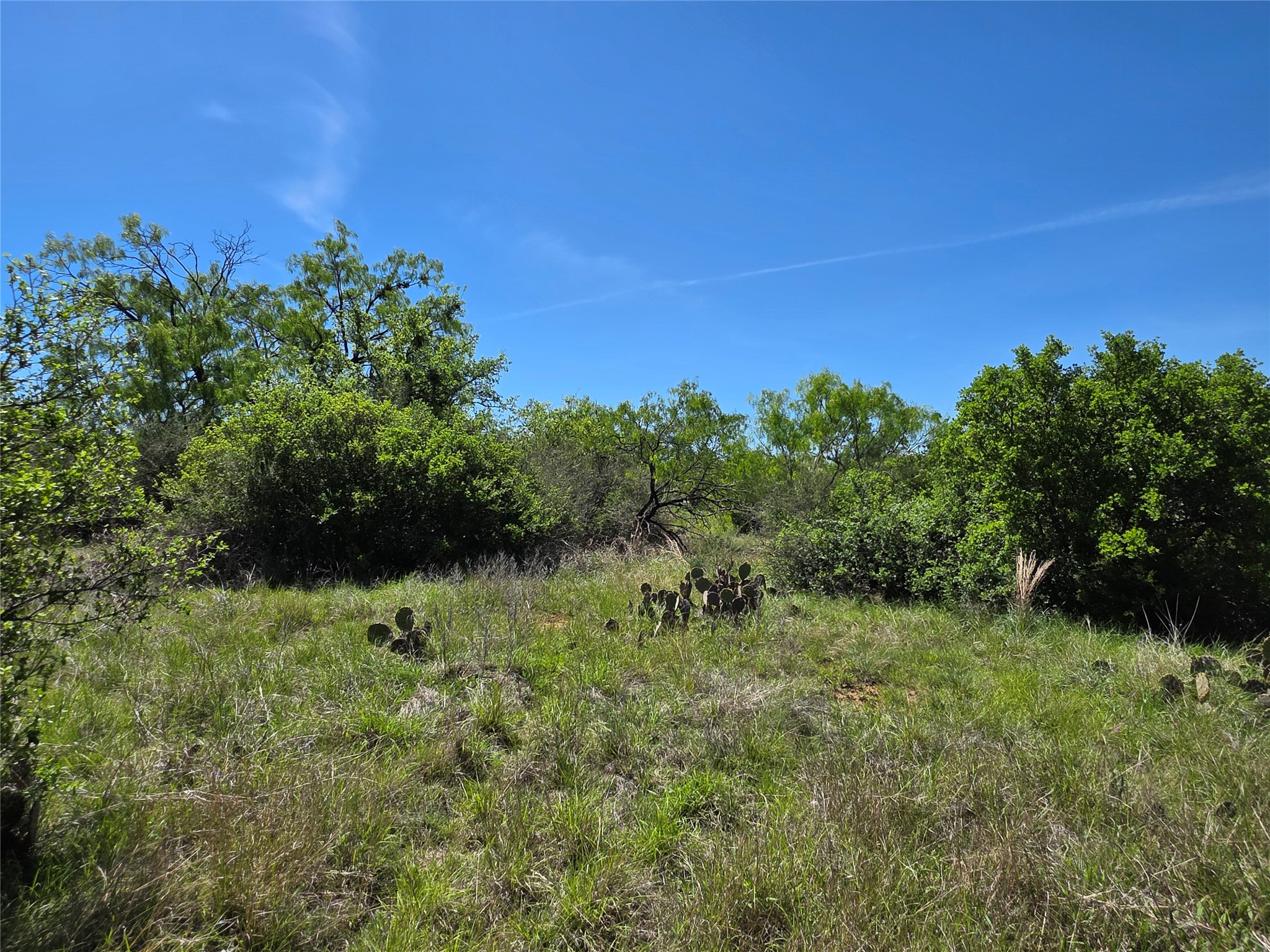 10315 Fm 45 Richland Springs TX 76872