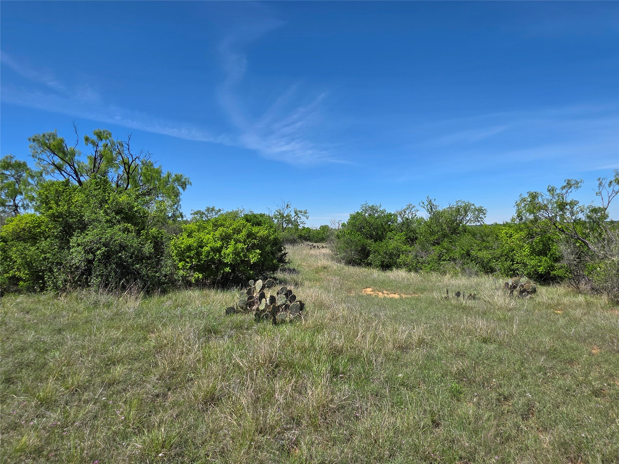 10315 Fm 45 Richland Springs TX 76872