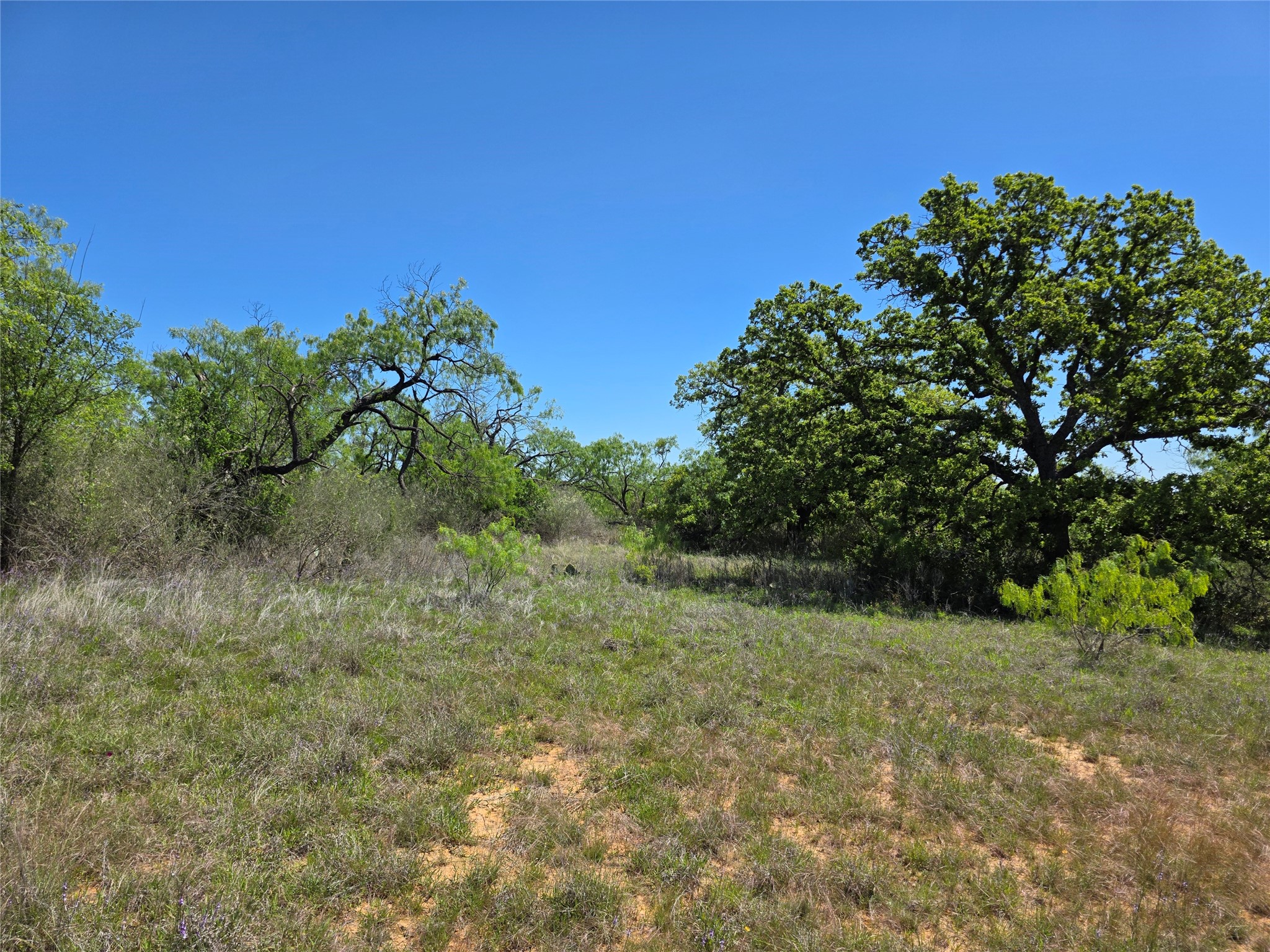 10315 Fm 45 Richland Springs TX 76872
