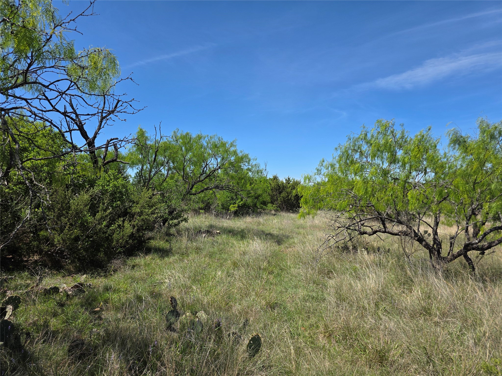 10315 Fm 45 Richland Springs TX 76872
