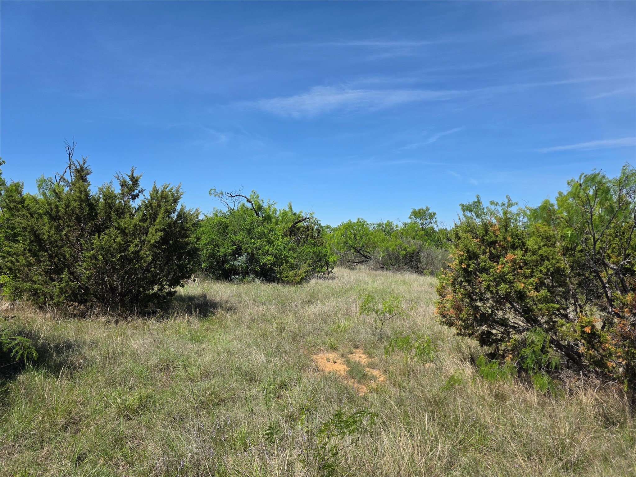 10315 Fm 45 Richland Springs TX 76872