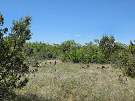 10315 Fm 45 Richland Springs TX 76872
