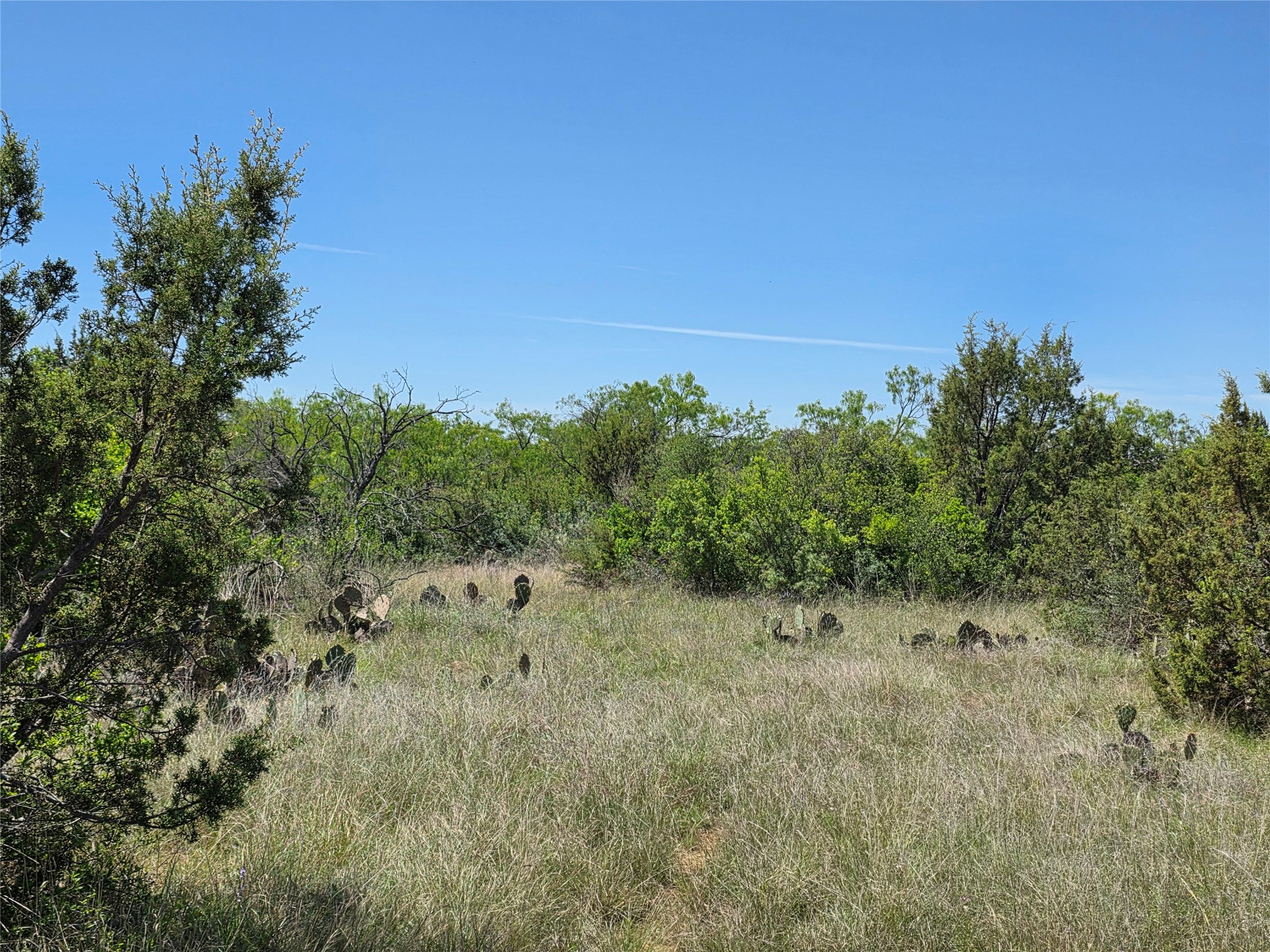10315 Fm 45 Richland Springs TX 76872