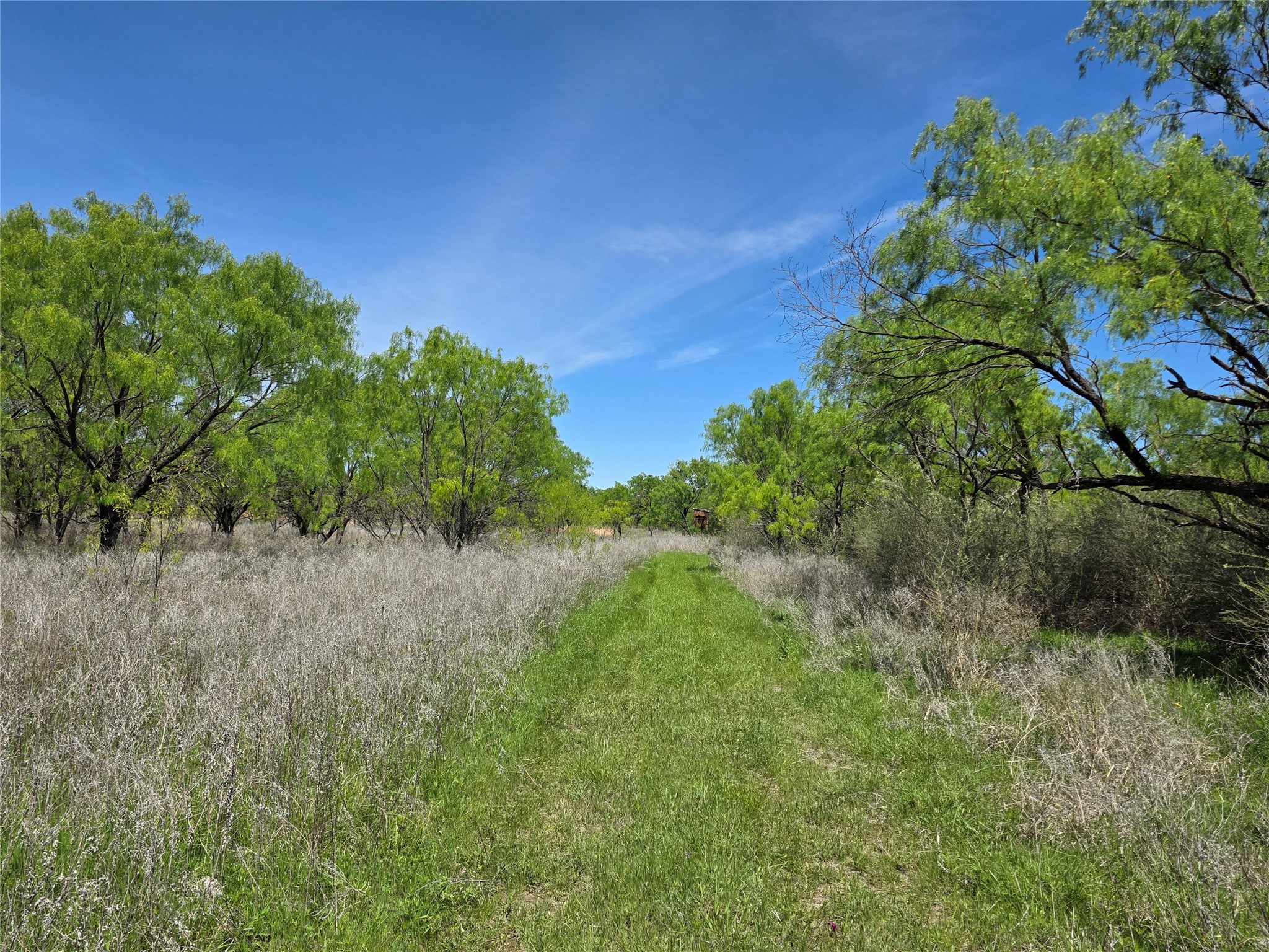 10315 Fm 45 Richland Springs TX 76872