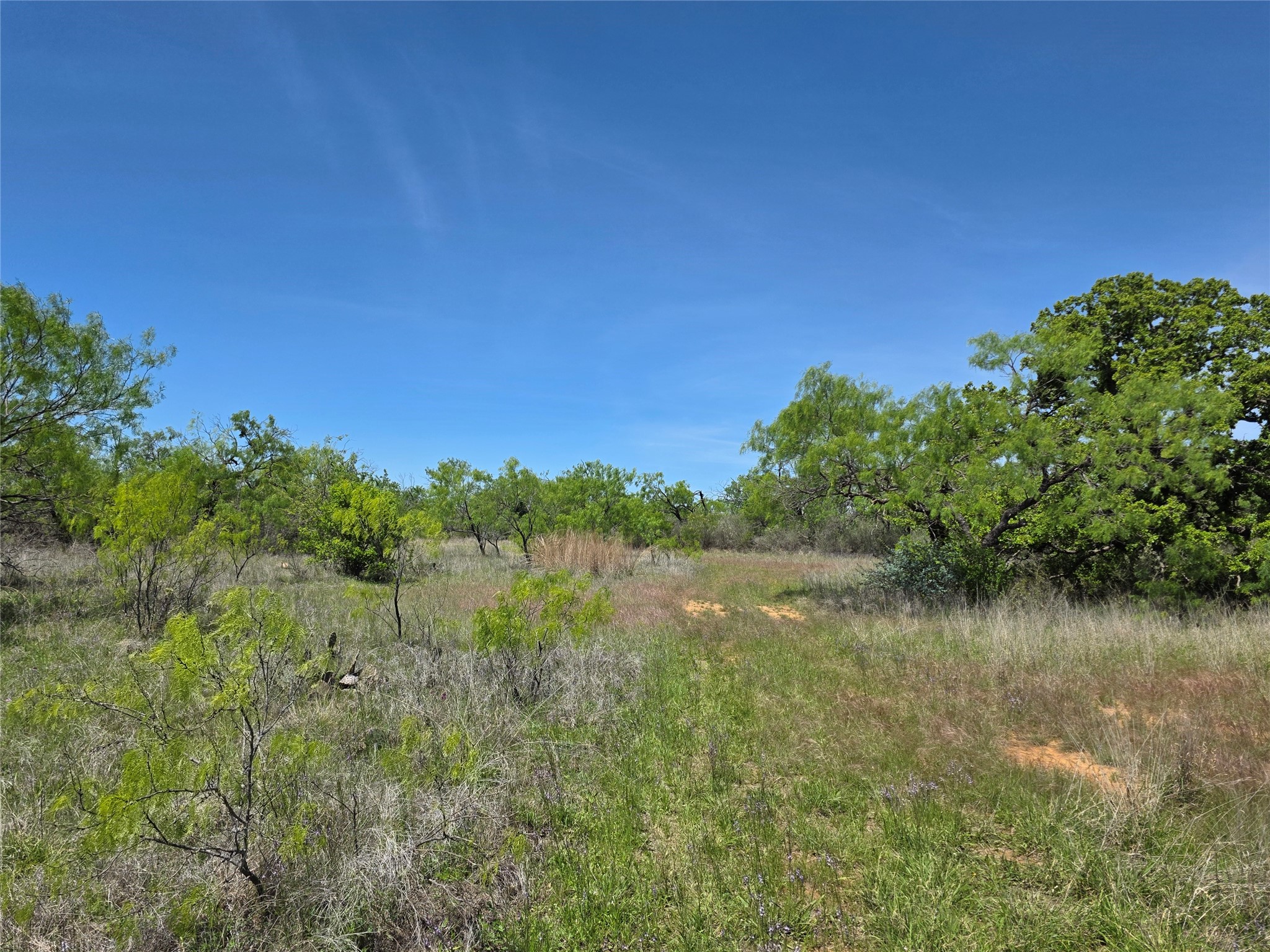 10315 Fm 45 Richland Springs TX 76872