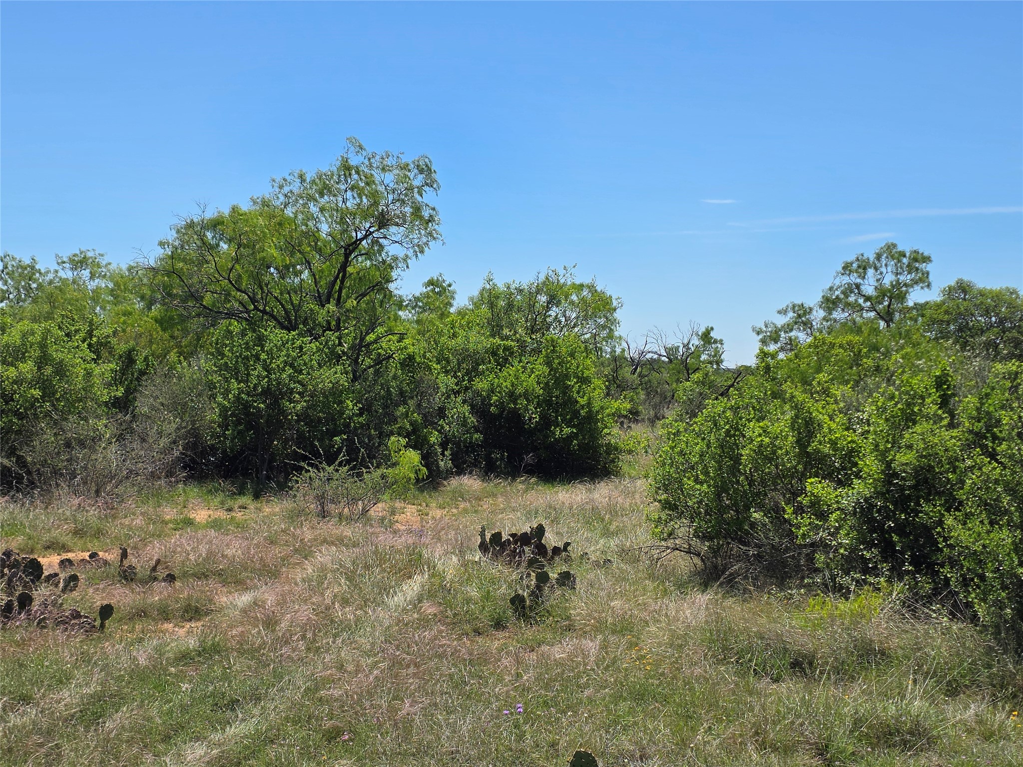 10315 Fm 45 Richland Springs TX 76872