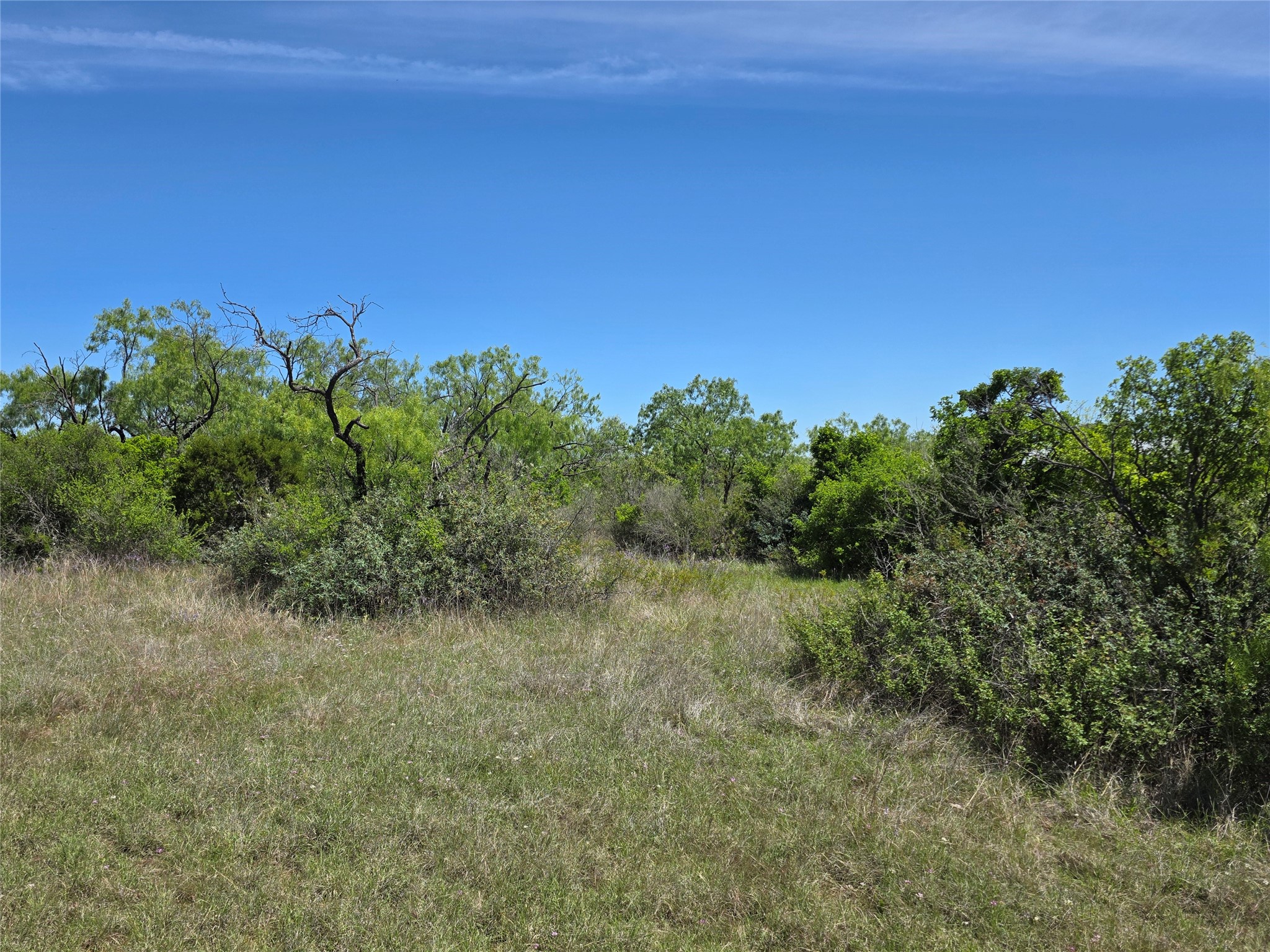 10315 Fm 45 Richland Springs TX 76872